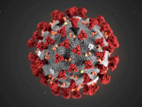 陸科學家發現 武漢肺炎病毒「驚人」突變