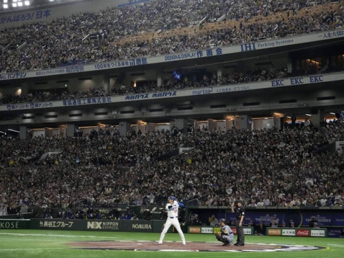 東京賽》大谷翔平熱潮太狂！2500萬日本人看G1、海放首爾賽紀錄