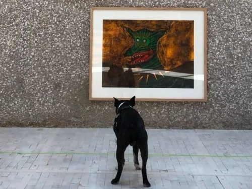狗狗也看藝術展！美術館精選館藏 歡迎人狗一起看