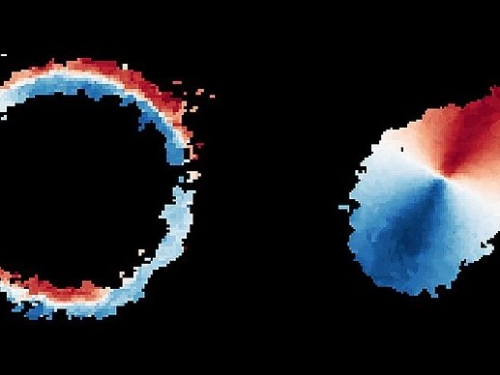 天文學家發現極為遙遠星系 類似銀河系