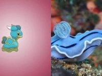 精靈寶可夢11個「原版生物」大公開！原來這不是亂畫