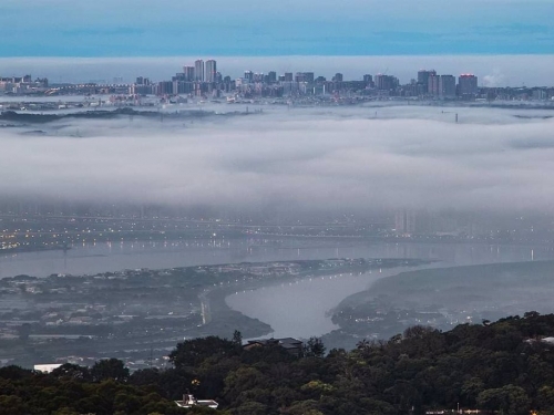 又見天空之城！鄭明典曬「城市懸浮半空」美照