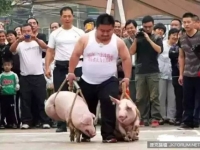 令人咋舌的真正的牛人！高手，永遠在民間⋯⋯