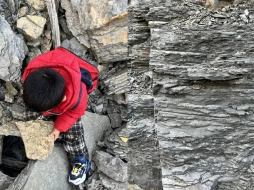 5歲弟爬山撿到「怪石頭」 專家鑑定證實：5億年前古生物化石