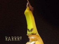 《香蕉剝皮藝術》每種掰開都含有一種美