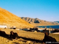 中國社會科學院考古6大發現　一探西藏象雄王國文明.