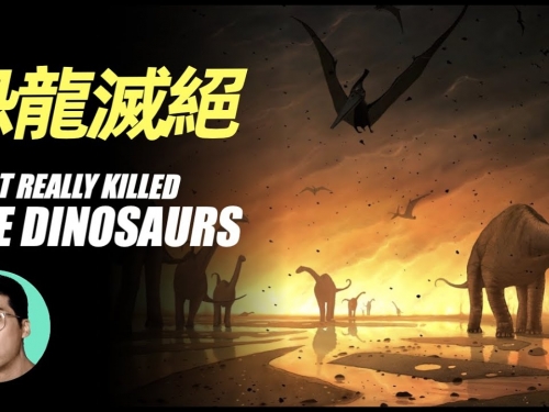 恐龍滅絕的真實原因揭露，一切似乎都充滿了巧合...「曉涵哥來了」