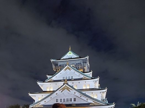 網球／連2周在日本出賽 謝淑薇曬夜遊照稱自己好「壯」