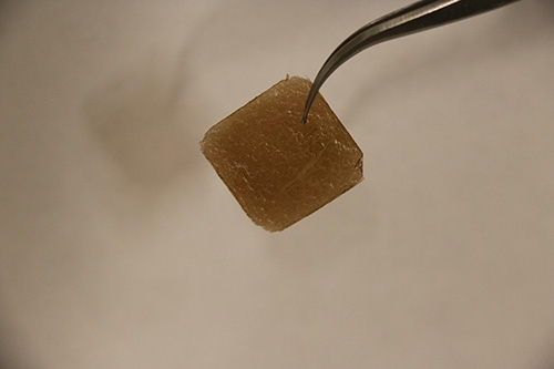研究發現：石墨烯製成的衣服可防止蚊蟲叮咬