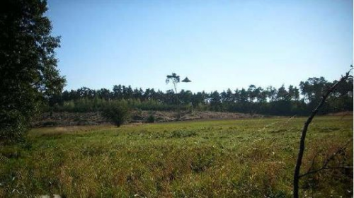 40年來最清晰！波蘭男子拍到碟狀飛行物照片，白天懸停在空中