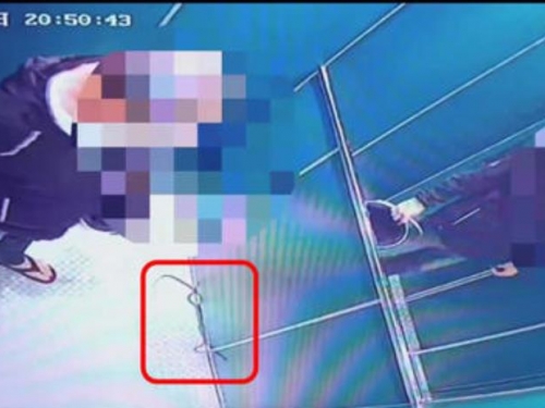 男搭電梯驚見蛇狂奔 監視器揭真相：竟是自己帶的！