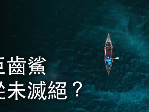 如果巨齒鯊從未滅絕？| 大膽科學