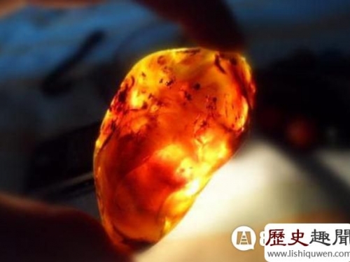 緬甸發現最老琥珀 價值不可估量