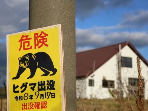 遇襲恐成人生惡夢…日本熊害頻傳 專家揭熊攻擊人「直接打臉」殘酷真相