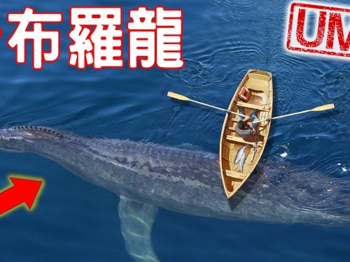 【UMA檔案】卡布羅龍-加拿大神祕生物，世界唯一認證存在的水怪?!