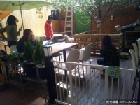 羊咩咩咖啡廳正式誕生！別懷疑，是真的羊陪你喝咖啡