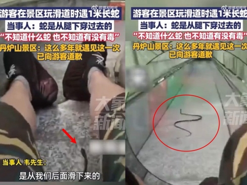 風景區溜滑梯被「蛇」超車 男驚呼：趕時間你先走