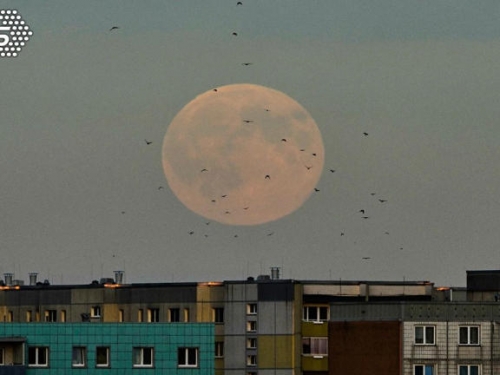 六年最大超級月亮現蹤各國！ 離地球近恐引發海水倒灌