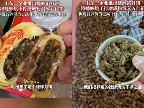 把50萬吃下肚！山東推出「蟋蟀月餅」 業者：營養價值更高