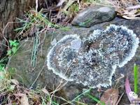 任性！　一個人騎車去非洲感受22個國家的美