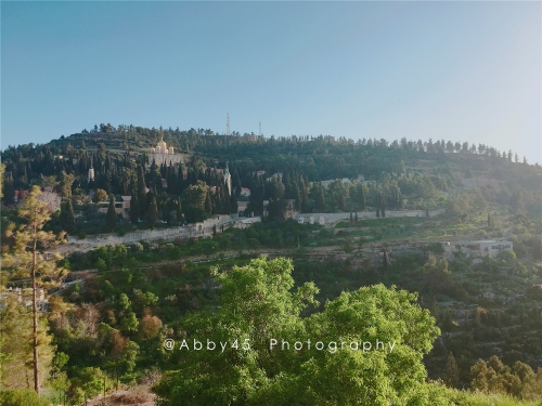 耶路撒冷的另一邊，有一個世外桃源，被譽為以色列版美麗鄉村