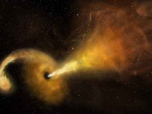 潮汐破壞事件暴露行蹤，抓到罕見中等質量黑洞吞噬恆星