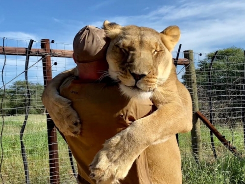 母獅愛撒嬌！一見男子就要討抱抱