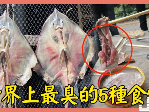 世界上最臭的5種食物，就是打死我也不會吃的