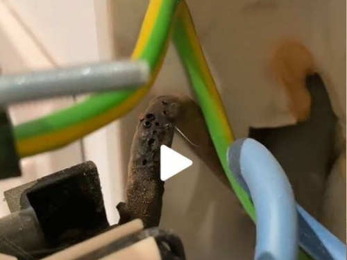 她在臥室聞到魚腥味 一查竟是電線熔化