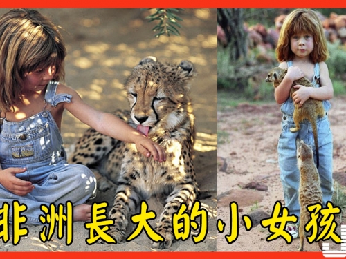 非洲長大的小女孩從小跟動物玩耍，長大後驚訝發現：人比動物更可怕