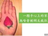 這張手上放了一顆草莓的照片被網友們瘋狂轉發，你能猜出為什麼嗎？