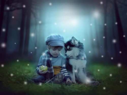 研究：幼年時期有狗相陪，可降低成年後罹患思覺失調症風險