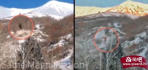 山下也看得到！大腳怪疑現蹤 超大黑影半山腰移動