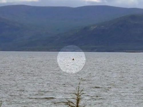北極地區有水怪出現？科學家在西伯利亞冰湖裡發現龐大生物