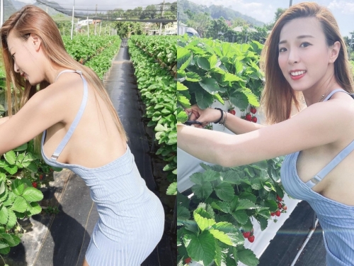 太兇殘了！「巨乳正妹」穿這樣採草莓側邊美乳看光光，老闆大呼：是本月最漂亮客人！
