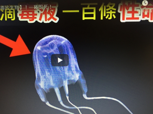 10個世界上【最毒的生物】！一碰即死！