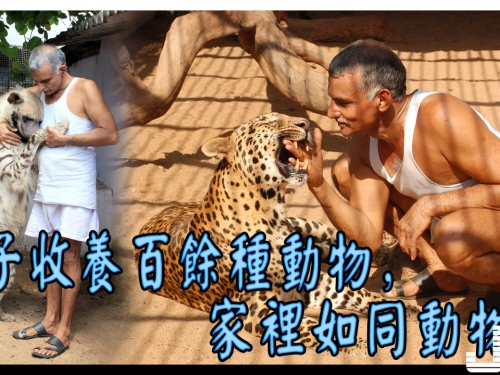 【愛心】男子收養百餘種動物，家裡如同動物園