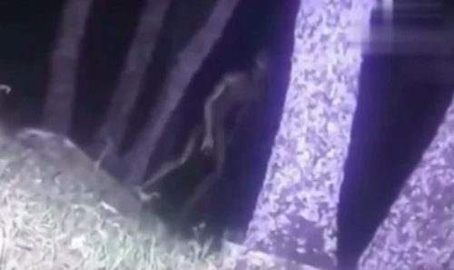 警察拍下疑似外星人近照，嚇得脊樑骨冒冷汗！