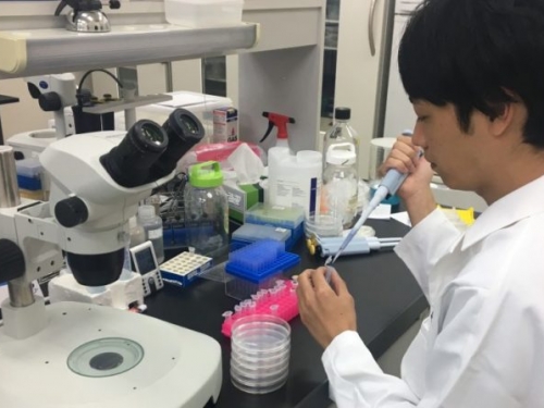 藥界新舉！諾華攜手微軟，運用 AI 研發新藥