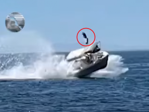 「鯨」濤駭浪！墨西哥觀光船被鯨撞 遊客慘噴飛落海