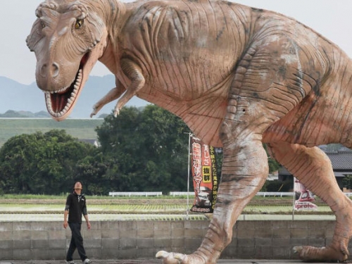 美挖出恐龍木乃伊！改寫歷史 澳洲千萬紅蟹大遷徙