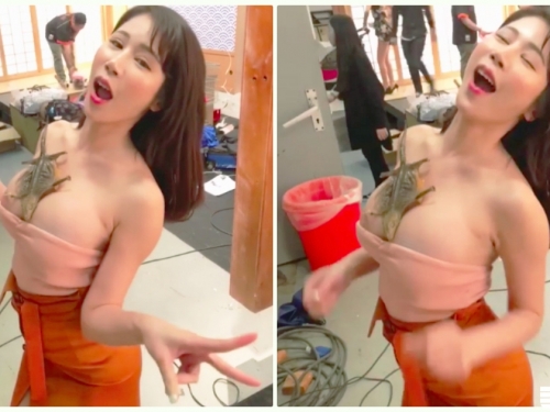 快炸出來啦！電視台驚見「白嫩爆乳妹」用奶貼鱷魚！超邪惡「趴奶畫面」真的好猛喔…
