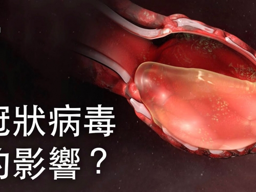 冠狀病毒對你的身體有什麼影響？| 大膽科學