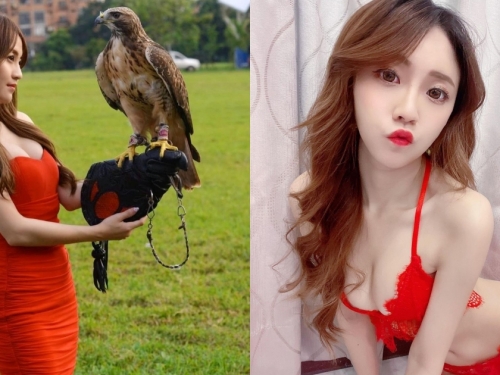 身材超火辣的「爆乳馴鷹正妹」！平口貼身小洋裝露出Ｓ曲線，美女和猛禽組合好吸睛！
