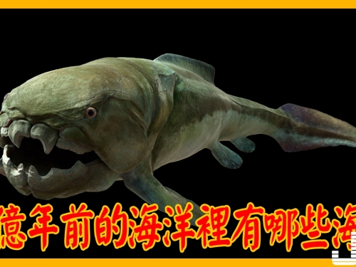 四億年前的海洋裡有哪些海鮮，這三種魚最受獵食者的歡迎