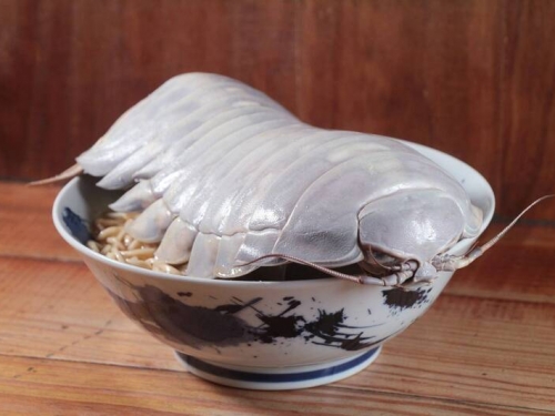 味道如何？大王具足蟲料理紛出現 網友看傻：想吃真的要勇氣