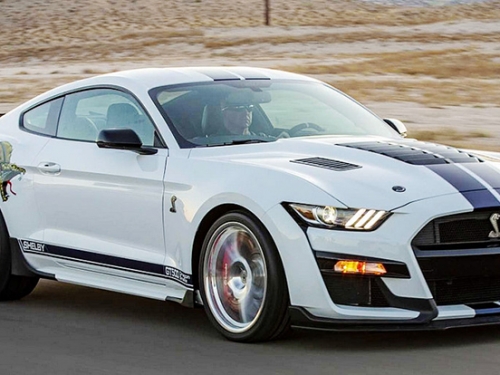 外型、名字都超蝦趴！「龍頭蛇」Shelby GT500 Dragon Snake 夾帶8xx匹馬力來也