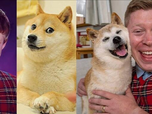 2大傳奇迷因夢幻同台！ 「超衰布萊恩」與「Doge」燦笑合影