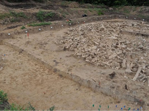 考古發現猛獁象骨頭組成的神祕環形結構