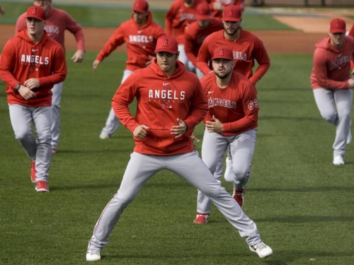 MLB》大谷翔平不是開路先鋒 天使總仔透露打線規劃